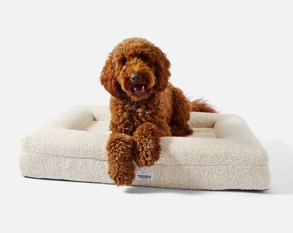 Cama_boucle_blanca_medium(1)