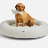Hueso_boucle_perro_TeddyLondon(3)