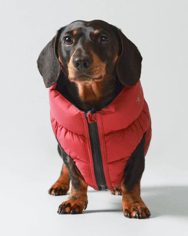 Puffer_Jacket_rojo&azulMarino(1)