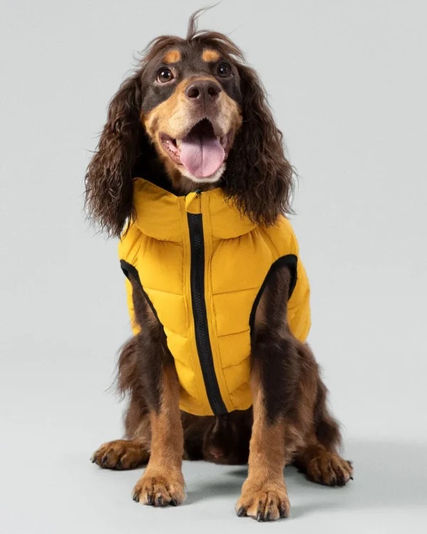 Puffer_jacket (6)