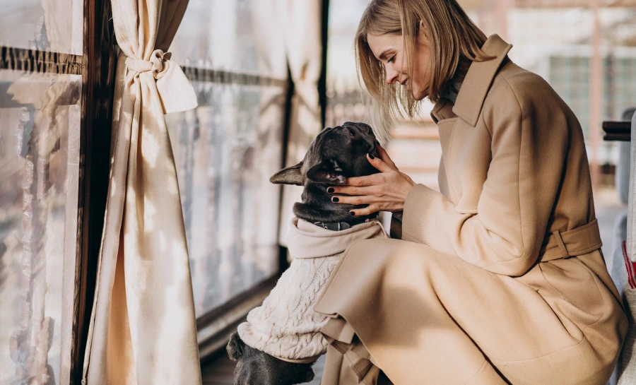 lujo canino pet collection